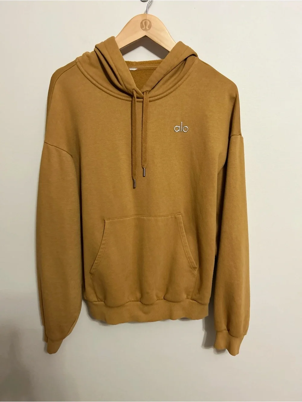 ⭐️Alo Accolade Hoodie in Toffee⭐️